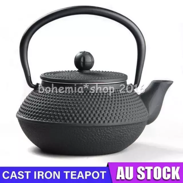 300ml Japanese Style Tea Pot Cast Iron Kettle Tetsubin Black Teapot Case AUS