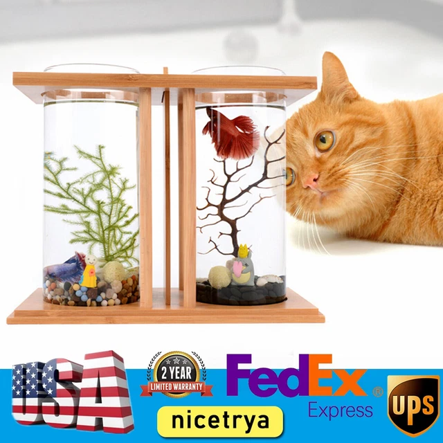 Desktop Dual Glass Fish Tank Aquarium Goldfish Betta Bowl For All Water Type NEW