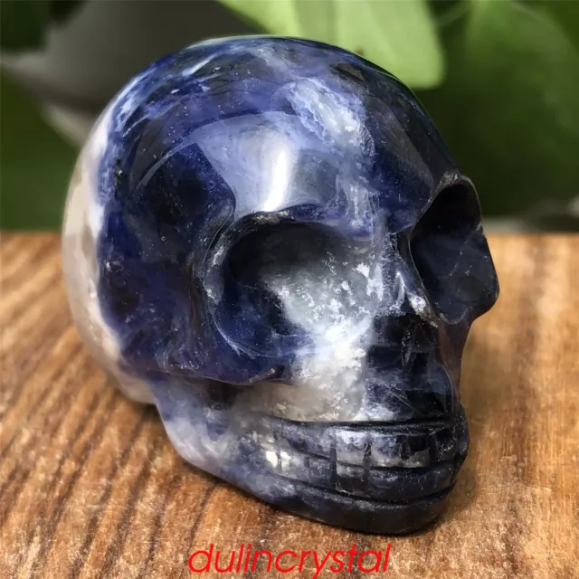 1pc Natural sodalite skull quartz crystal carved reiki decor healing gem 1.5''