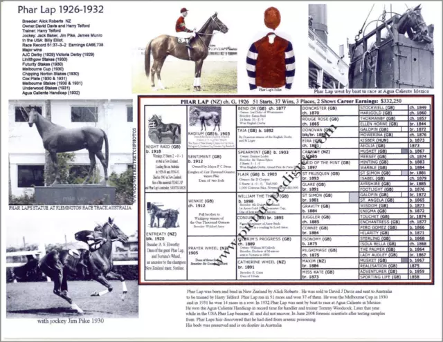 Phar Lap famous New Zealand race horse picture pedigree collectible