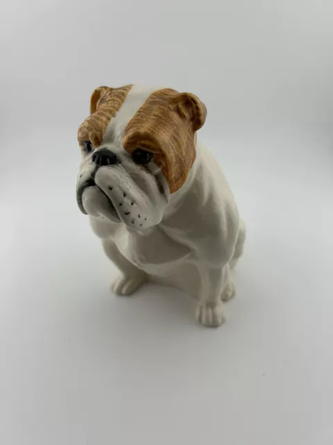 Royal Doulton Bulldog Dog DA222 Seated White with Tan Patches