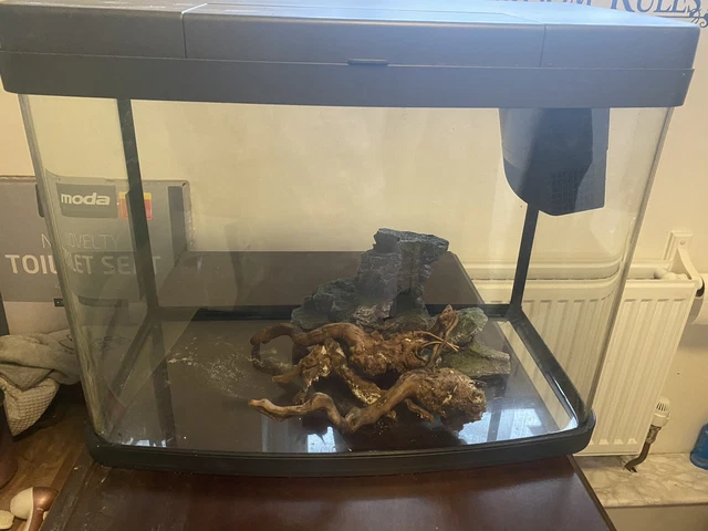 fish tank