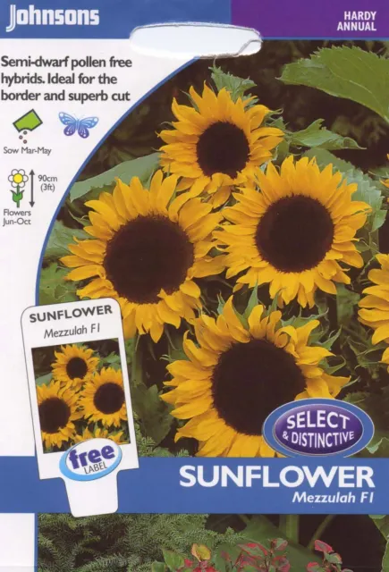 Johnsons Seeds - Pictorial Pack - Flower - Sunflower Mezzulah F1 - 20 Seeds