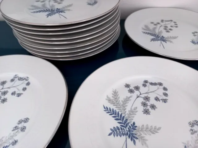 12 très belles assiettes en porcelaine d'Italie  estampillées  "ROYAL TOGNANA"