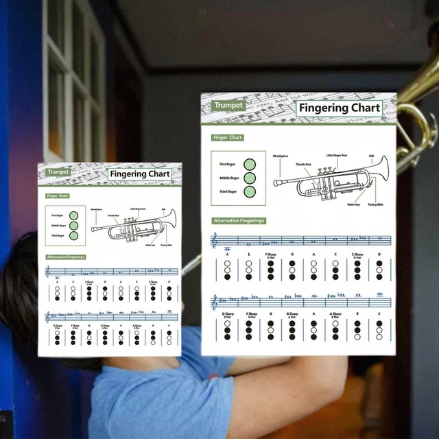 TRUMPET DIAGRAMS Fingering Chart Practice Chart for Students Teachers £ ...