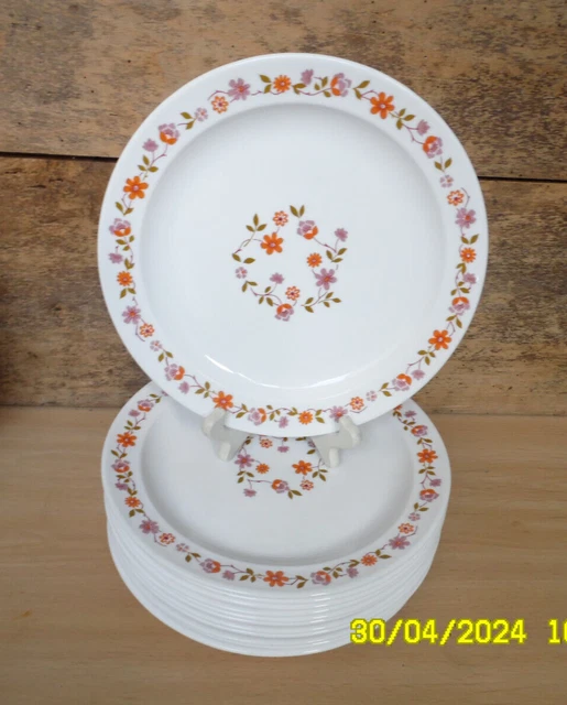 Lot3 De 6 Assiettes Creuses Vintage Arcopal France D 21,5 Cm