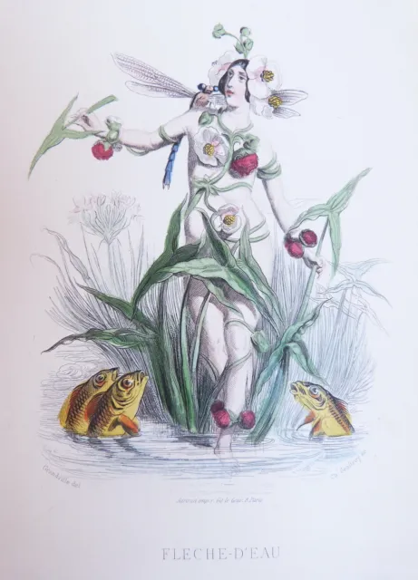 GRANDVILLE (J.J.) - Les fleurs animées - Sans date (1867).