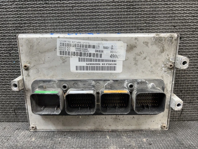 🔥 OEM 2004 Dodge Dakota 3.7L AT Engine Control Module ECM ECU 56031014AC