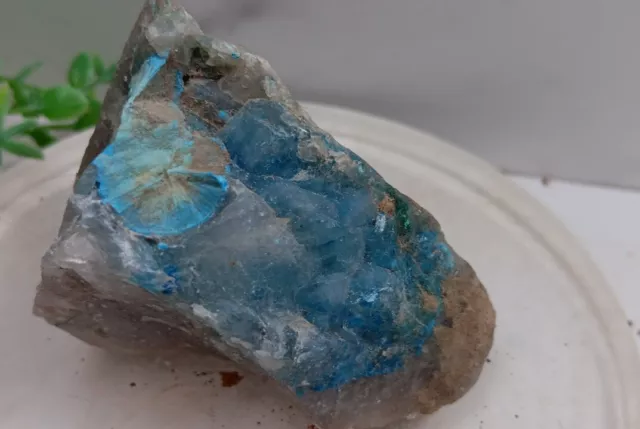 Shattuckite Chrysocolla Malachite In Quartz Kaokoveld Namibia 150 Grams 2.5" Es