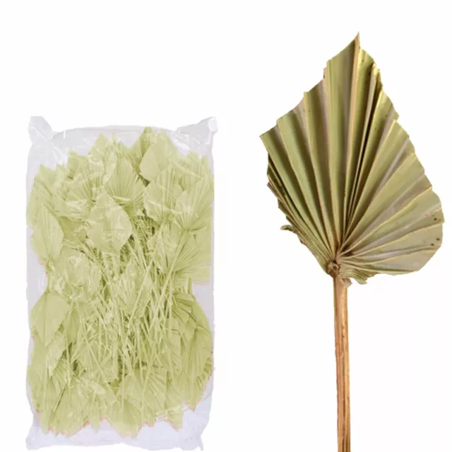 Palmspear ind. grande - bolsa de 100 ud. - natural