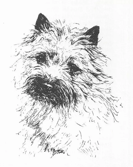 Cairn Terrier #3 - CUSTOM MATTED - 1963 Vintage Dog Art Print 0507 CLD