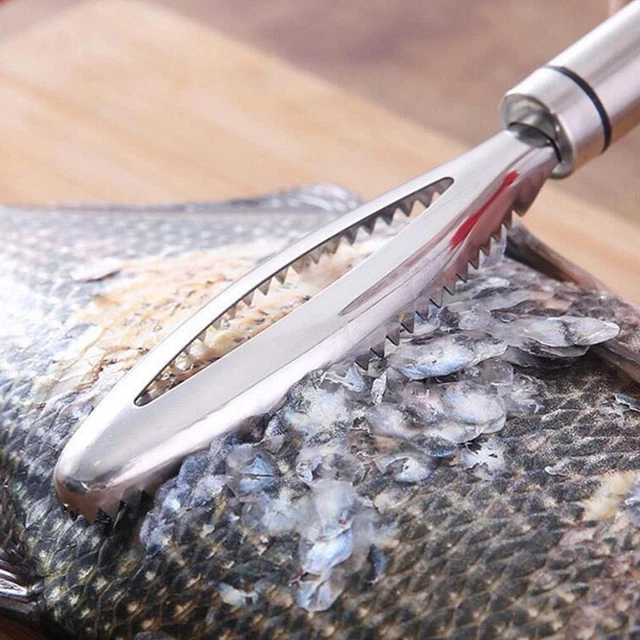 Fish Scaler Remover - Vis Ontkalker Tool Fish Scaler Remover - Vis Ontkalker Tool