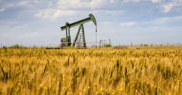 Oil & Gas Mineral Rights near Carbury, Bottineau County, North Dakota!