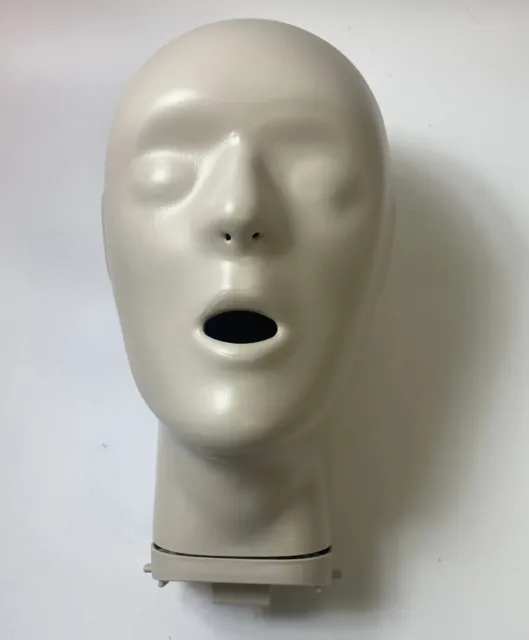 CPR PROMPT TRAINING Replacement Manikin HEAD Adult TMAN1