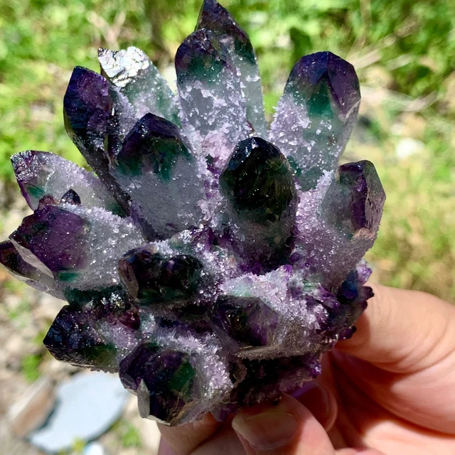 403G New Find purple PhantomQuartz Crystal Cluster MineralSpecimen