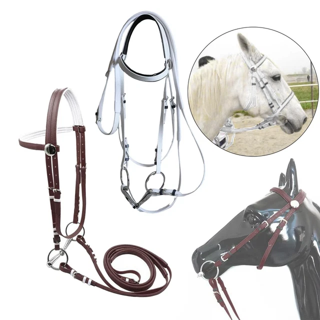 Lot Rênes Et Bride Avec Conchos En Argent - Matériel Équitation - Neuf