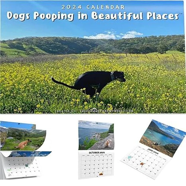 2024 CALENDAR FUNNY Dogs Pooping in Beautiful Places Hangable Wall