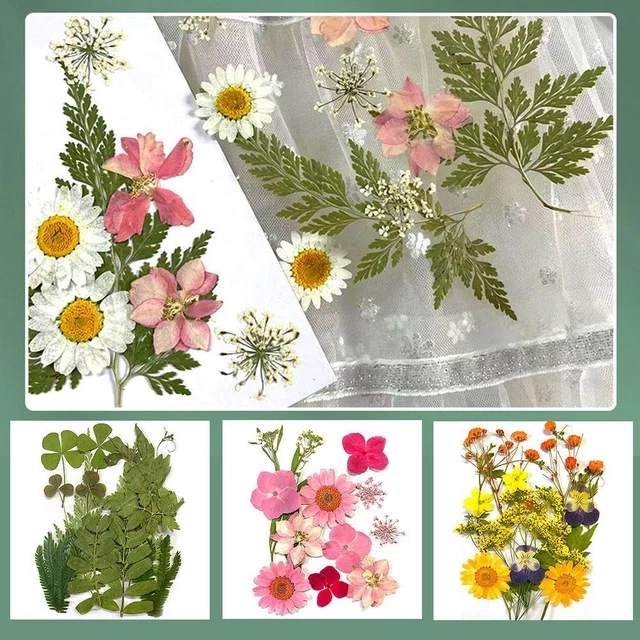 Mixed Real Dried Flowers Dry Plants For DIY Epoxy Jewelry Making Craf Resin A7C4