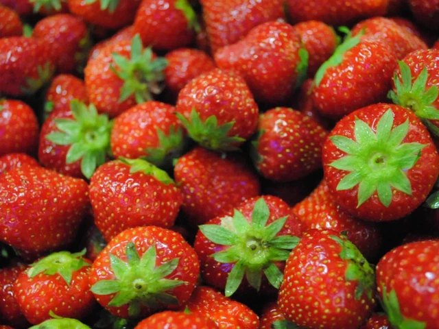 Eau De Toilette Fraise Mara Des Bois Yves Rocher 100 Ml - Neuf, Parfum Fruité - Sans Cruauté