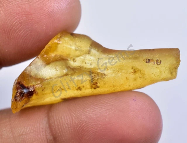 Ambre Naturel De La Baltique En Forme D'œuf à Facettes - 618,30 Carats, Couleur Caramel Miel, Non Traité, Certifié AGL
