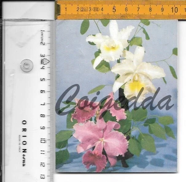 36 - 1950 - Biglietto augurale Stati Uniti -