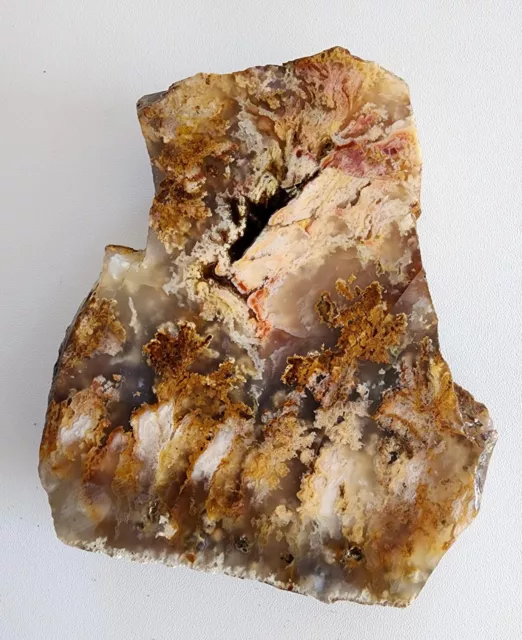 Graveyard Point Plume Agate End Cut face cut rough Old Material Oregon 1.35 lbs