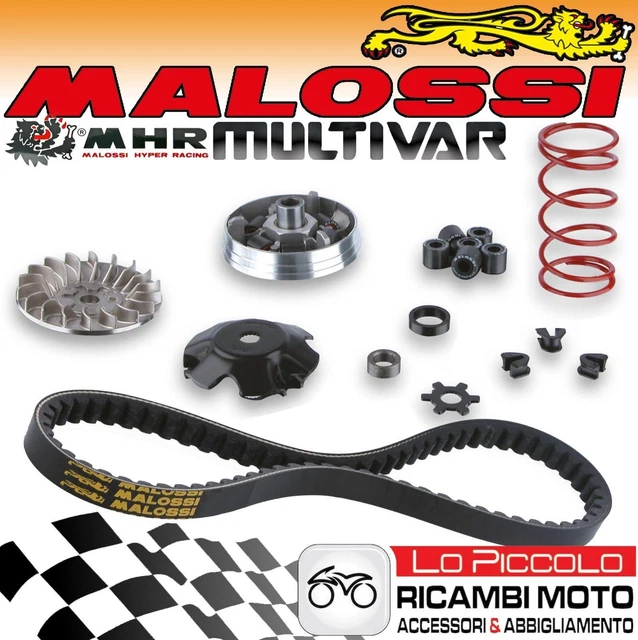 Variateur MALOSSI Multivar MHR+Courroie beta Ark 50 2T / LC