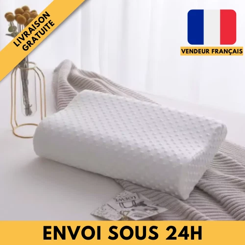 Oreillers Mémoire De Forme Jean Louis Scherrer - Lot De 2, 50x70 Cm, Anti-Acarien, Pour Cervicales