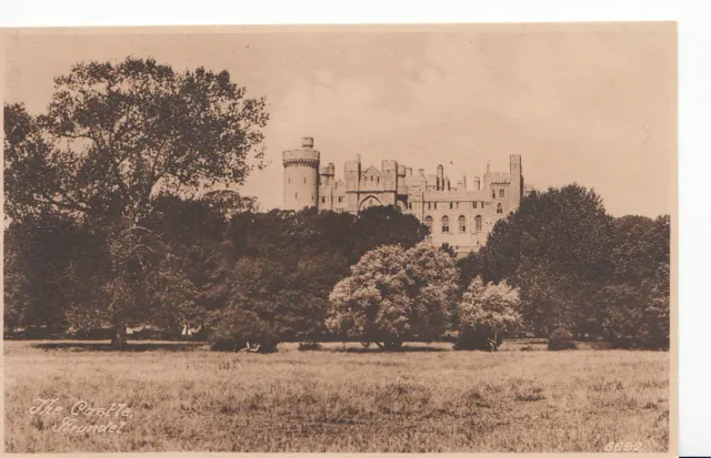 Sussex Postcard - The Castle, Arundel   A5982