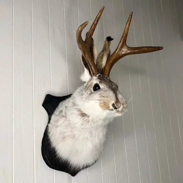 Statue Wall Mount Rabbit Head Hang Sculpture Animal Home 3D Abstract Wall Decor