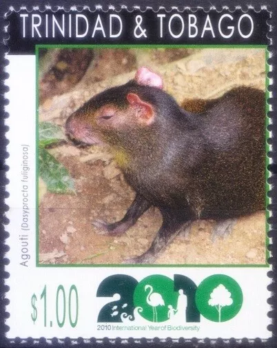 Trinidad & Tobago 2010 MNH, Biodiversity, Black Agouti, Rodents, Environment