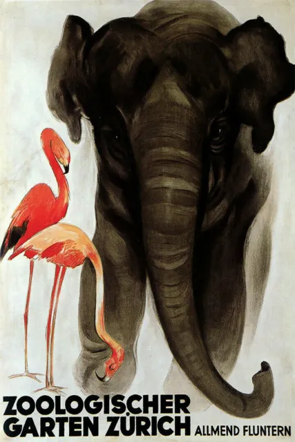 361582 Zurich Zoo Elephant Flamingo Birds Animals Vintage Art Poster