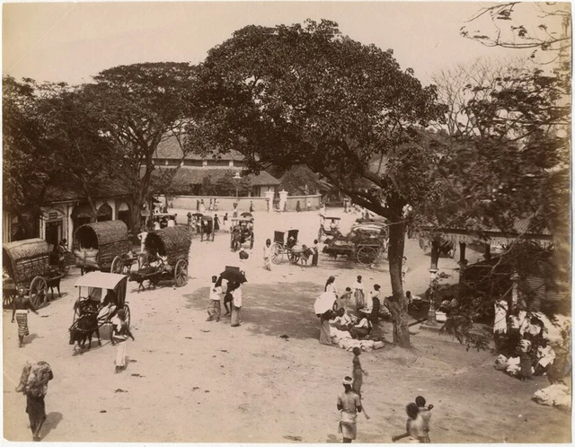 Photo Attr. Skeen Albumen Colombo Ceylon to The 1880