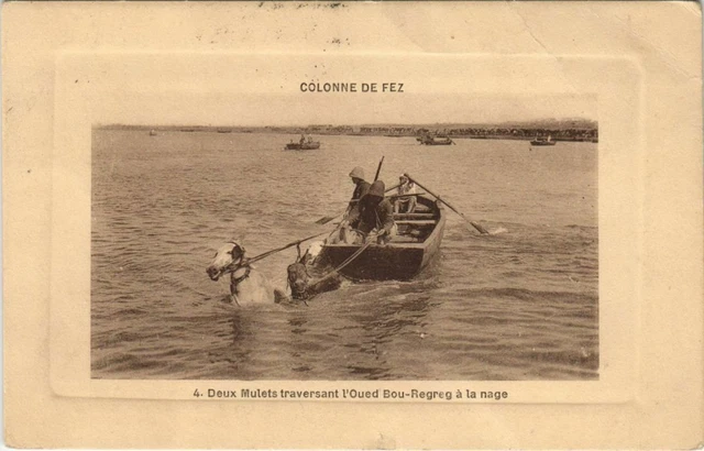 CPA AK MAROC Colonne de FEZ Deux Mulets traversant (10116)