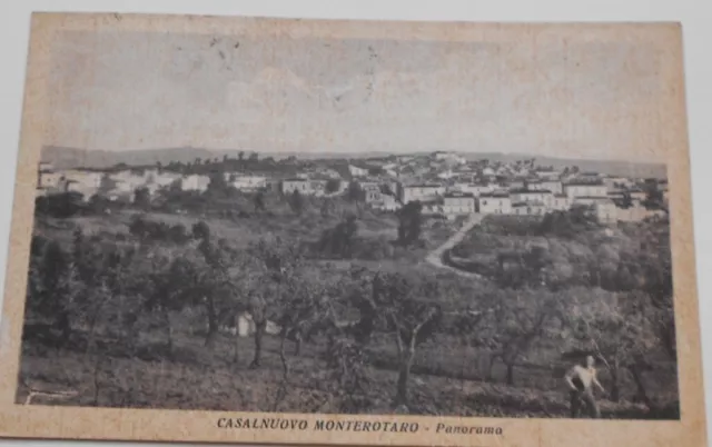 Cartolina ill. CASTELNUOVO MONTEROTARO, Panorama, viaggiata 1950