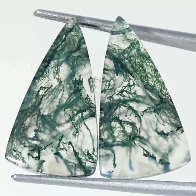 14.80Cts Natural Green Moss Agate Pear Pair Cabochon Loose Gemstone