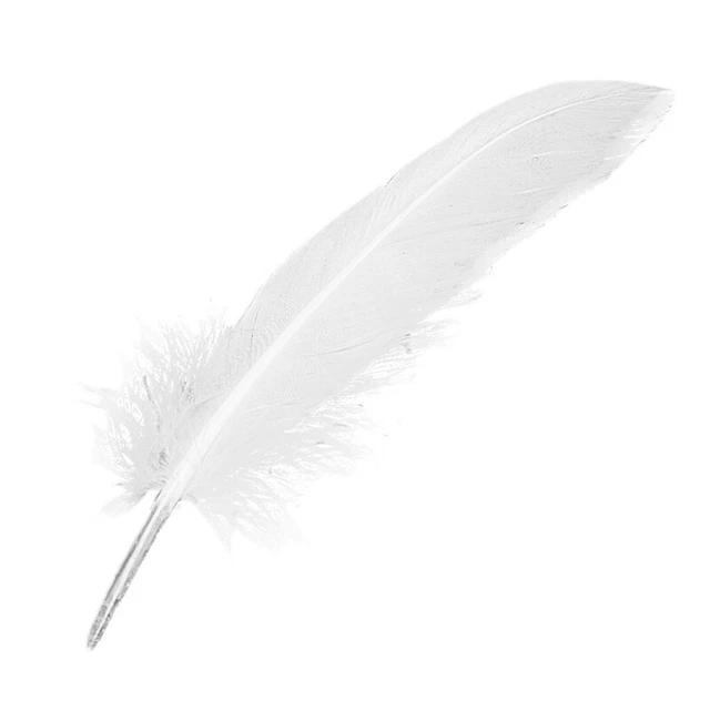 100 piezas Plumas Blancas Ganso Artesanía para Fiesta Sombrero Artesanías Boda Decoración 1T9