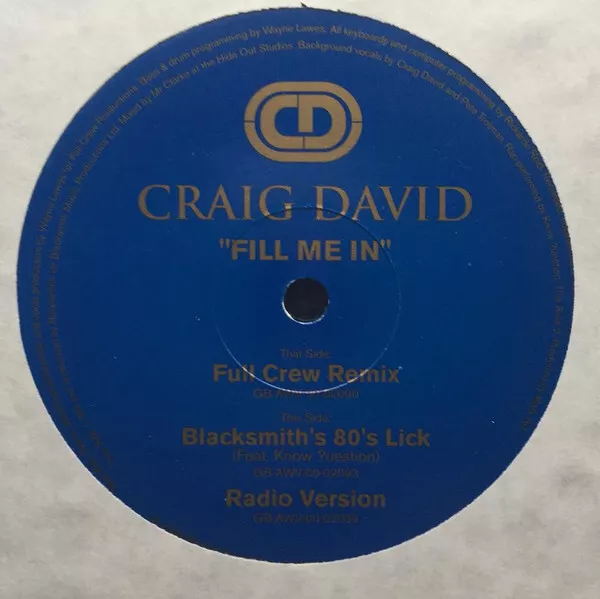 Craig David Fill Me In 12" Vinyl Schallplatte 230383