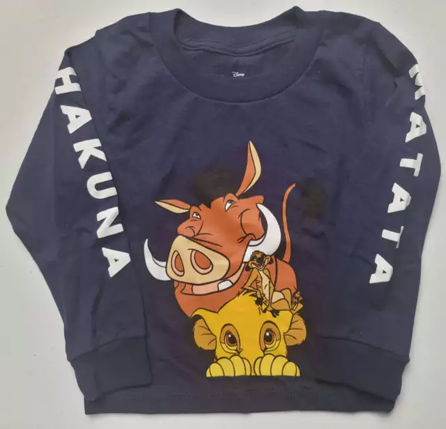 DISNEY BOYS' THE Lion King Hakuna Matata Moon Scene Kids T-Shirt (2XL ...