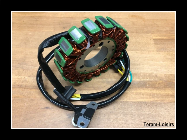 Stator Allumage Alternateur pour Suzuki 650 SV de 1999 à 2002 NEUF