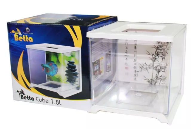 Betta Cube Siamese Fighting Fish Tank (1.8 Litres) Aquatopia