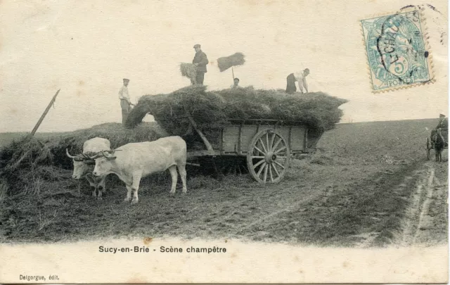 Postcard / Postcard / Sucy En Brie / Scene Champetre