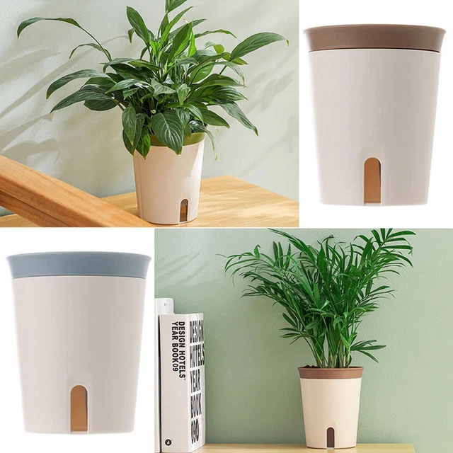 Cat Pot Avec Drainage: Planteur De Chat Mignon Pot Air Plants Conteneur