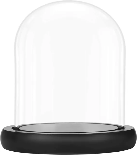 Clear Glass Dome Display Cloche Bell Jar & Black Wooden Base/Stand - Home Decor