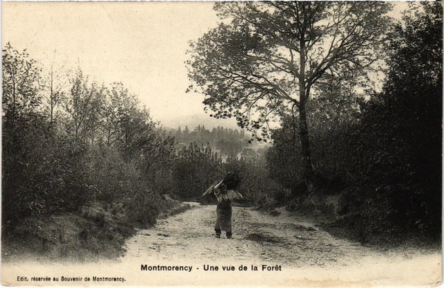 CPA Montmorency une vue de la Foret (1319904)