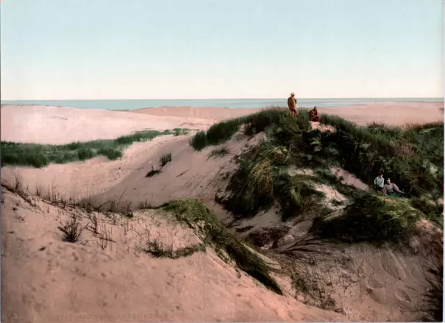 Deutschland, Sylt. Listland. In den Dünen.   vintage print photochromie, vinta