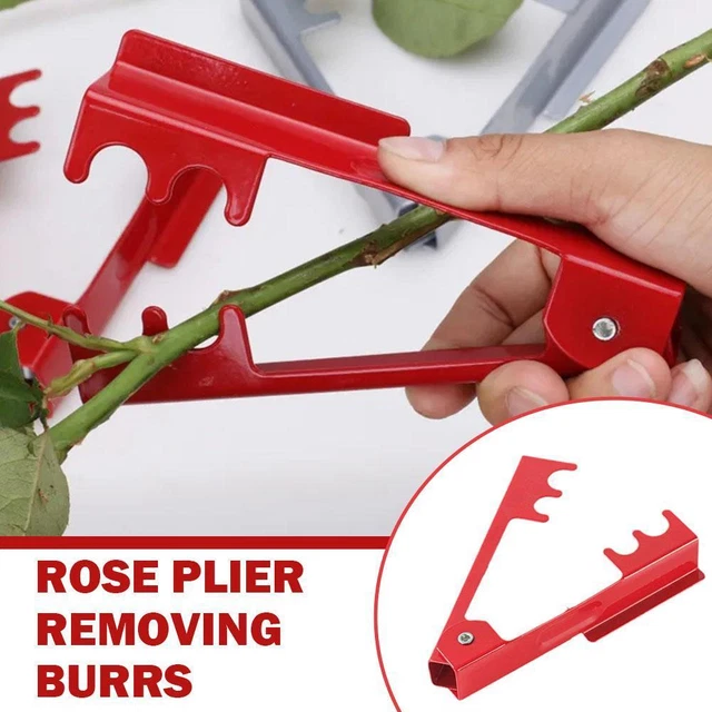 Metall Gartenarbeit Blatt Stripper Stechpalme Floristik Blume Rose Stiel Dorn T2F5