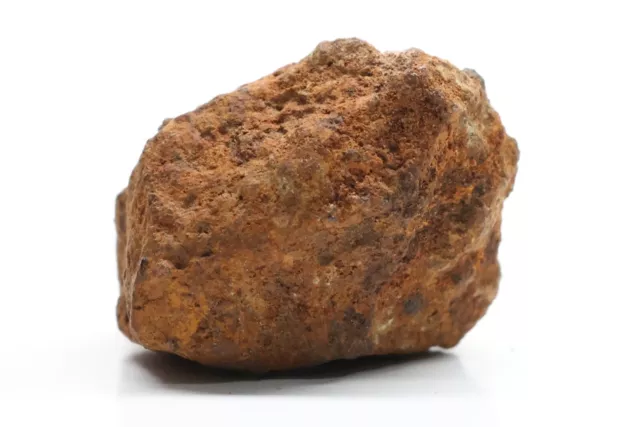 Clarendon (c) The Space Rock Found By A Horse! 2.6g