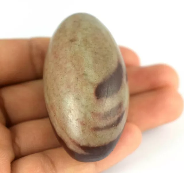 Natural Shiva Lingam Stone 58.47 Gram/2.11" Special Lingam Healing