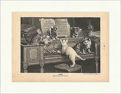 Katzenfuge Holzstich von S. Reichert Klavier Katze Musik Noten mit Pfoten P 0068